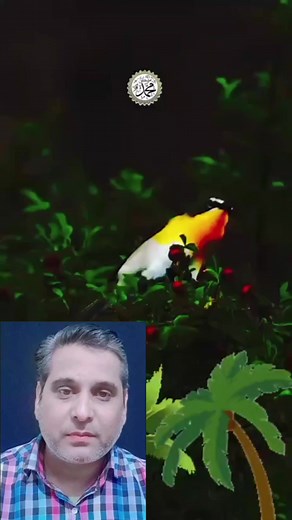 132K views · 6.3K reactions | Hadees e pak #hadees #reelsfb #reels #viral #viralreels | islamic videos | Facebook