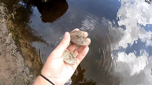 There are crystals inside these fossils - this river search got strange fast