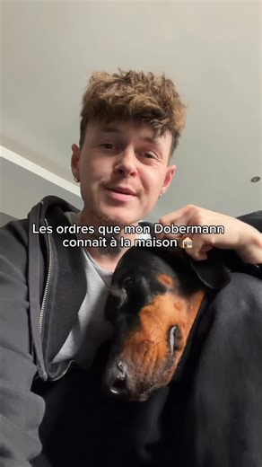 ARKA on Instagram: "🎓 Les ordres essentiels à connaître à la maison 🏠 Dans cette vidéo, je te montre les ordres indispensables pour vivre en harmonie avec ton chien au quotidien. 👉 Ils ne sont pas juste “cool”, ils sont vraiment utiles : pour accueillir des invités calmement, éviter les accidents, etc. 💡 Je t’explique aussi dans quels cas chaque ordre devient un vrai super-pouvoir au quotidien. 📱 J’ai fait l’éducation avec l’application @dogoapp ➡️ Le lien pour la télécharger est dans ma bi