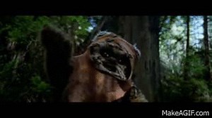 Ewok Slingshot on Make a GIF