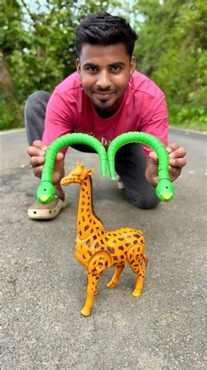 Amar Tow Snake and Rc Giraffe Unboxing dise