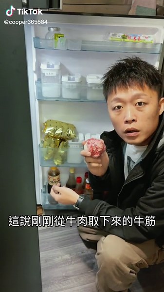 Exploring Refrigerator Organization Techniques