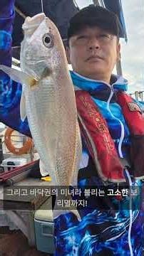 6월 23일 서해 백조기낚시 전문배 플러스호 조황 #백조기낚시 #무창포낚시 #바다낚시 #서해낚시 #플러스호 #수조기낚시 #백조기 #서해바다낚시 #선상낚시 #선상바다낚시 #7월낚시