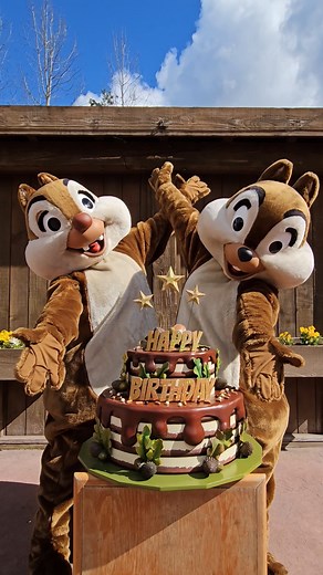 16K views · 256 reactions | Buon compleanno, Cip e Ciop | Disneyland Paris | Facebook