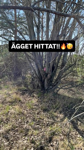 ÄGGET ÄR HITTAT! Utanför @nordiskainglasningar 😍