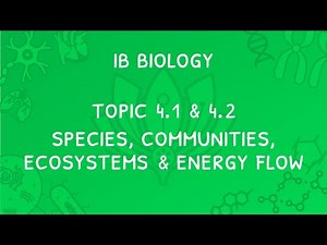 IB Biology Topic 4.1 & 4.2: Components of an Ecosystem, Energy Flow & Quadrat Sampling