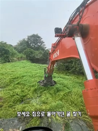 연못을 깨끗이 정화한 착한 굴착기 기사 이야기