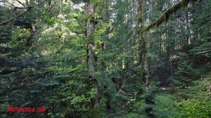 2025 Suzuki DR-Z4S Review