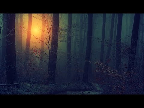 FREE AMBIENT LOOP KIT (100% Royalty Free)