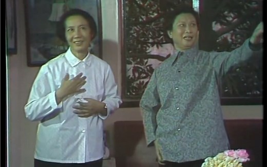 越剧十姐妹和新一代1979年9月上海电视台纪录片徐玉兰尹桂芳袁雪芬傅全香范瑞娟王文娟陆锦花吴小楼张桂凤吕瑞英徐天红戚雅仙毕春芳竺水招