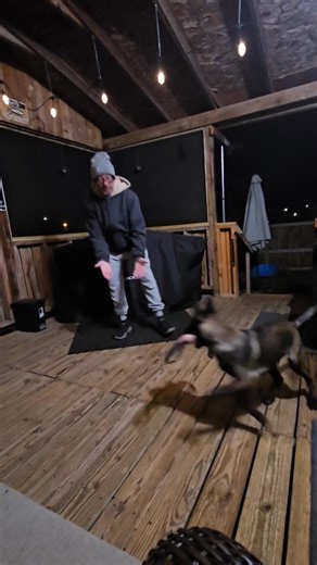 When the rubber band is too tight, if you know malinois. Laura Murdoch | Larry Murdoch