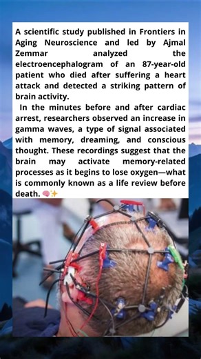 What Happens in Your Mind Right Before You Die?