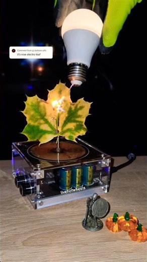 Lesson 24: autumn leaves 🍂 #experiment #teslacoil #plant #physics