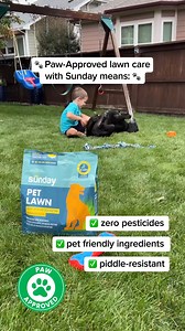 6K views | Labor Day Sale — Get 30% Off Lawn Plans | Sunday | Facebook