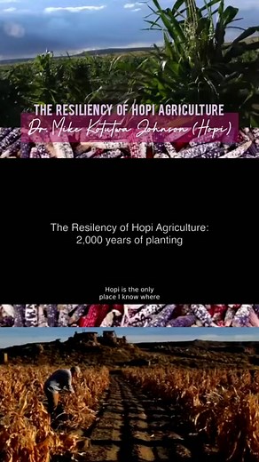 Hopi Dry Farming Techniques for Sustainable Agriculture
