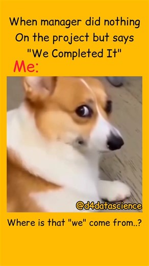 DATA SCIENCE on Instagram: "“Relatable? Then hit follow for more 😌🔥” . . Follow @d4datascience Follow @d4datascience Follow @d4datascience . . #datascience #machinelearning #ai #artificialintelligence #python #deeplearning #ml #programming #coding #datacommunity #datascientist #bigdata #sql #analytics #dataanalytics #tech #developer #education #learning #technology #innovation #datamining #machinelearningproject #datascienceproject #pythonprojects #mlengineer #aiengineer #career"