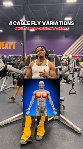 MR. GET ACTIVE‼️ on Instagram: "4 Cable chest fly variations‼️ Don’t bs and miss out. My “LGA The Great Lock-In 2.0” starts on January 5th. $100k in cash prizes🤯Early bird sale ends soon. link in bio to join‼️"