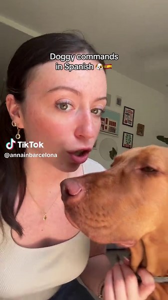 Learn Spanish Doggy Commands for Your Pet