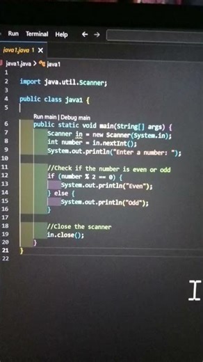 Java program User Input even odd program