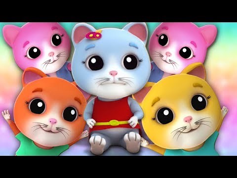 lima anak kucing kecil | kucing lagu untuk anak-anak | Five Little Kittens