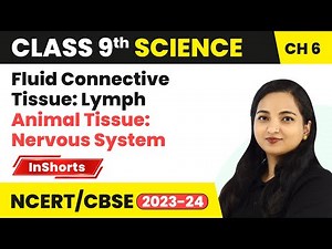 Fluid Connective Tissue: Lymph, Animal Tissue: Nervous System | Class 9 Biology Chapter 6 | Tissues