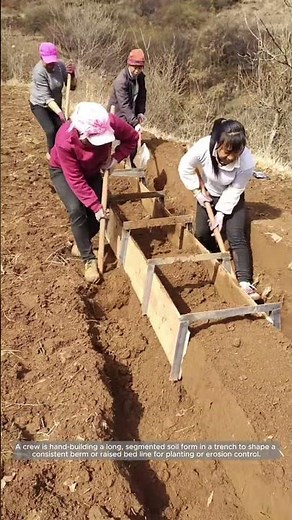 Modular Forms for Uniform Raised Beds and Berm Lines