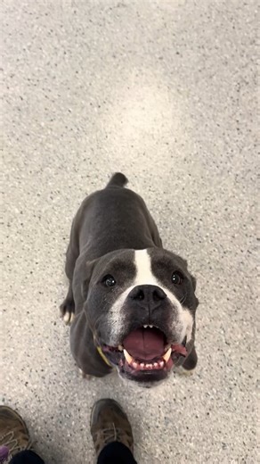 11K views · 328 reactions | Today's #ExtendedResident is Tobias! This...