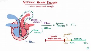 【臨床医学編】2018年おすすめ海外YouTubeまとめ【USMLE Step２受験・医療英語学習】 - 医学＆医療英語学習法まとめ