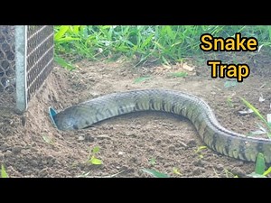 An easy way to build an underground snake trap using a plastic tube and an electric shield