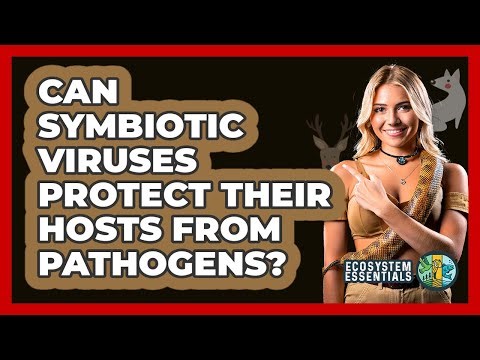 Can Symbiotic Viruses Protect Their Hosts From Pathogens? - Ecosystem Essentials