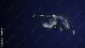 4k video of solar panel installation as alternative electricity source.