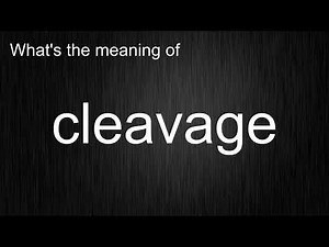 What's the meaning of "cleavage", How to pronounce cleavage?