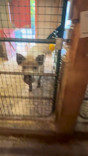 2K views · 204 reactions | ✨ One year ago yesterday, on October 2nd,...