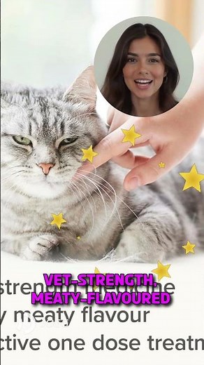 How to Treat Cat Worms At Home? 🐱 | Beaphar Wormclear Review #CatCare #PetHealth