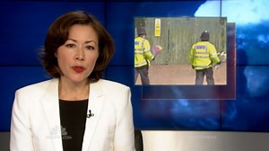 Lone-wolf terror attacks difficult to prevent, analysts say