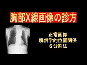 胸部X線画像の診方-正常画像から学ぶ解剖学的位置関係と６分割法-