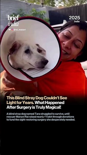 From Darkness to Sunshine: Street Dog Tara Gets Her Sight Back.