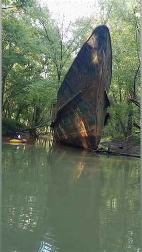 📍 Rabbit Hash, Kentucky – Ghost Ship Edition Have y’all heard the wild story of the old abandoned ship moored up in a creek near Rabbit Hash? Few people know about it — but the boat, often referred to as the “ghost ship,” has a history full of twists and turns. ￼ 🛶 A quick history • The vessel started as a luxury steam yacht built in the early 1900s, originally named Celt, then renamed USS Sachem (SP-192) when the U.S. Navy requisitioned it during World War I. ￼ • During its lifetime it served