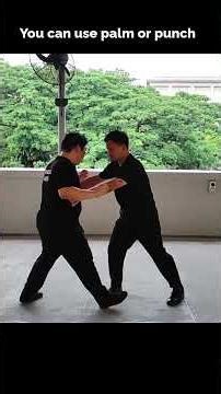 XingYiQuan - Tai - bird application (12 animals) 7/12 形意拳骀形应用 #wushu #xingyiquan #形意拳