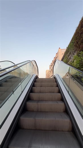 Exploring Doha: A Complete Travel Guide to Qatar