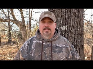 5 Coyote Hunting Tips for Beginners