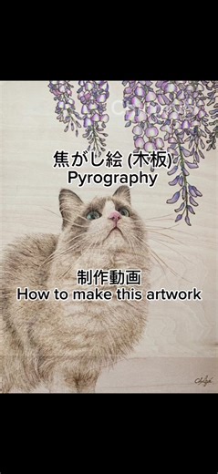 焦がし絵が出来るまでの詳しい解説入り動画を作ってみました！ ぜひ見て見てください🤭 #アート #焼き絵 #焦がし絵 #pyrography #ウッドバーニング #制作動画 #woodburning #art #メイキング #猫 #cat #絵を描く動画 #猫のいる暮らし