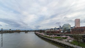 Time lapse of white clouds and blue sky over Portland OR downtown cityscape with flowering Cherry Blossom Trees spring season along Willamette River 4k uhd