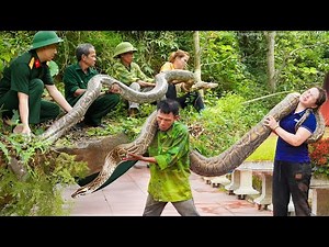 Harvest 1000+ Frogs - Selling at the Highland Market, Capturing the Giant Python to Rescue the Farm!
