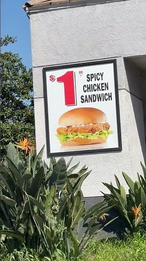 Reading the Fine Print of a Carl's Jr. Poster || ViralHog