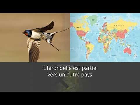 L'automne est là || Chansons Automne 🍂 || Paroles et illustrations