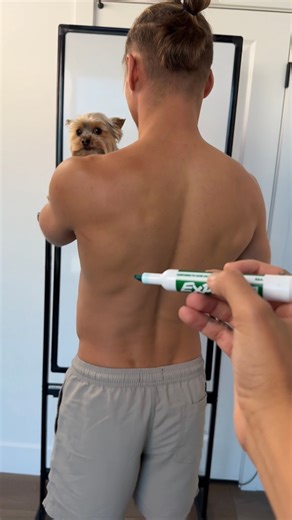 17K views · 64 reactions | Draw on Back Challenge | Zoré & Tomek | Facebook