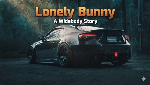 Lonely Bunny | A Widebody Story