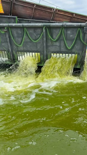 I think somebody needs a brita water filter #themepark #logflume | Hold Tight Riders