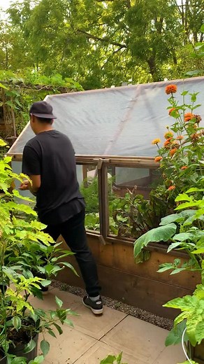 1.8K views · 7.1K reactions | A covered garden bed, can protect your vegetables from pests and extend your season so that you can grow more. A detailed step-by-step plan of this garden bed + cover is on our new book “The Compact Garden”. We can’t wait for you to see you recreate this in your garden You can pre-order here https://geni.us/TheCompactGarden #diygarden #gardenproject #thecompactgarden #diy #fallcleanup #newweek | Plantedinthegarden | Facebook